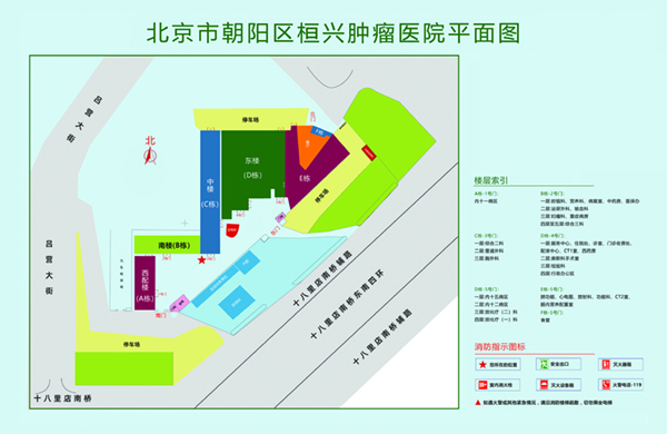 大鸡吧草小骚逼北京市朝阳区桓兴肿瘤医院平面图